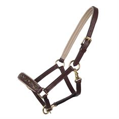 Foal Halter QHP Lupine Leather Mid Brown-Beige