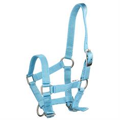 Foal Halter QHP Mini Blue