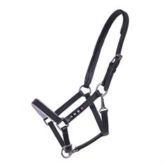 Foal Halter QHP Parla Leather Black