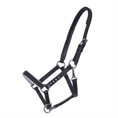 Foal Halter QHP Parla Leather