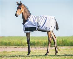 Foal Rug QHP Turnout Collection Light Purple