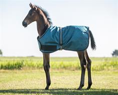 Foal Rug QHP Turnout Collection Turquoise