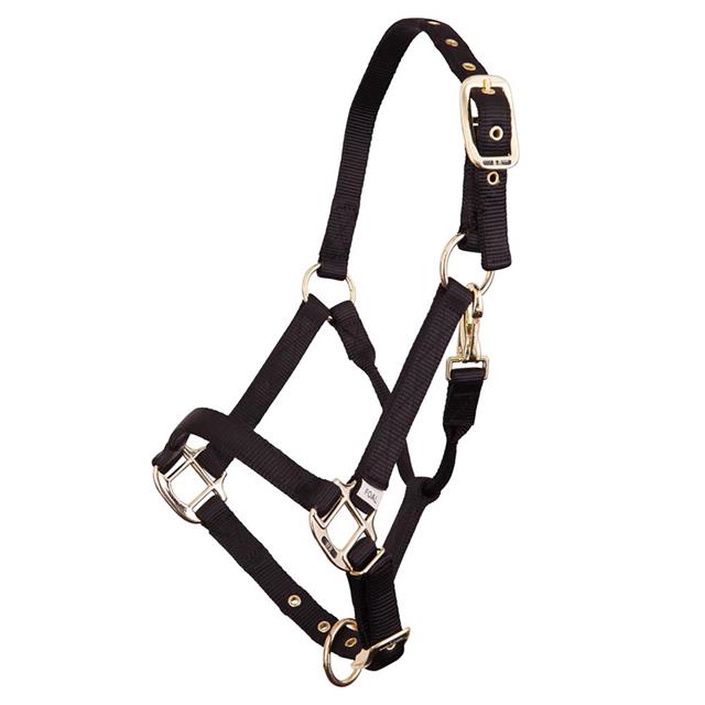 Fohlenhalfter BR Black