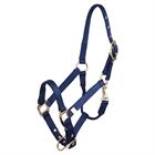 Fohlenhalfter BR Blue