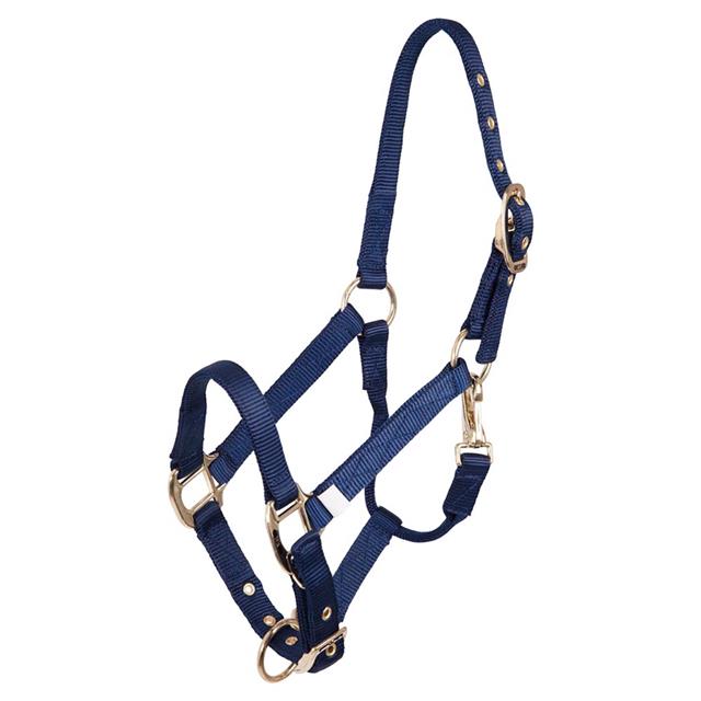Fohlenhalfter BR Blue