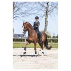 Gamaschen Active Gel Impact ATB22001 Anky Black