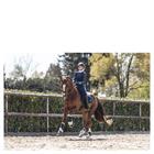 Gamaschen Active Gel Impact ATB22001 Anky Dark Blue