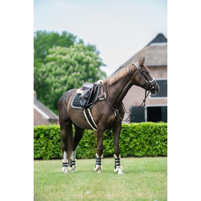 Girth QHP Ontario Black