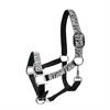 Glittery Zebra Horse Halter Epplejeck Zebra