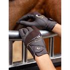 Gloves LeMieux Competition Brown