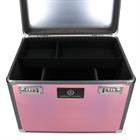 Grooming Box Imperial Riding Shiny IRH Pink