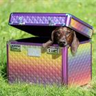 Grooming Box Imperial Riding Shiny Multicolour