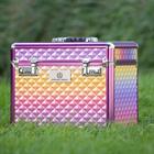 Grooming Box Imperial Riding Shiny Multicolour
