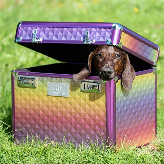 Grooming Box Imperial Riding Shiny Multicolour