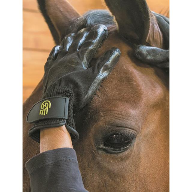 Grooming Glove HandsOn Black