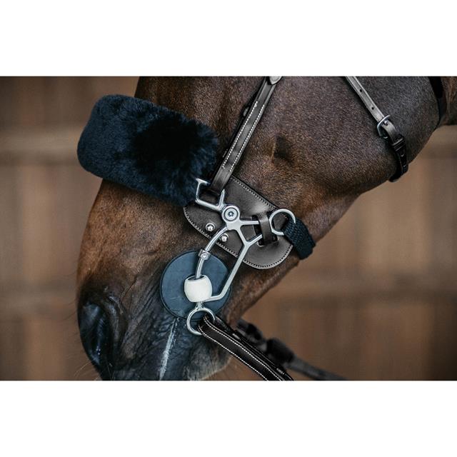 Hackamore Protection Dy'on Black