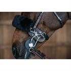 Hackamore Protection Dy'on Brown
