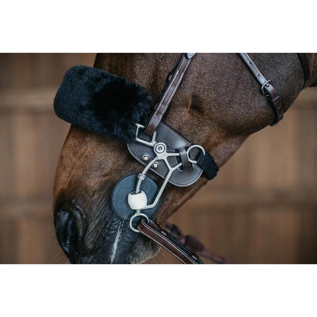 Hackamore Protection Dy'on Brown