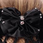 Hair Bow Epplejeck EJScilla Black