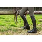 Half Chaps Dy'on Comfort Standard Black