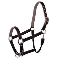HALSTER BR EVENT Black