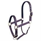 HALSTER BR EVENT Purple-Blue