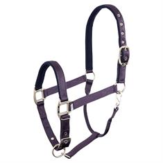 HALSTER BR EVENT Purple-Blue