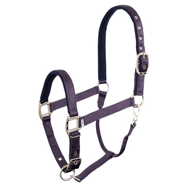 HALSTER BR EVENT Purple-Blue