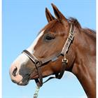 HALSTER BUCAS DUBLIN Brown-Silver