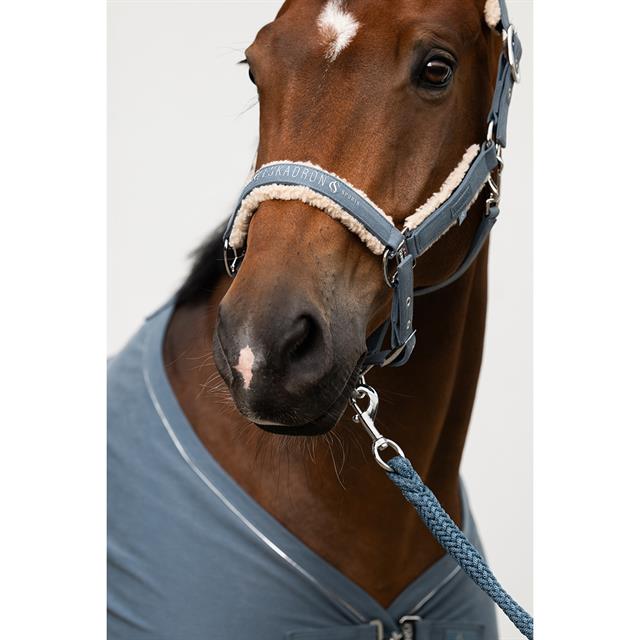 HALSTER ESKADRON DENIM TEDDYFLEECE DOUBLE PIN Blue