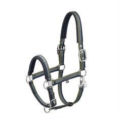 HALSTER ESKADRON DOUBLE PIN Dark Blue-Green