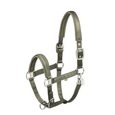 HALSTER ESKADRON MATTGLOSS JEWEL DOUBLE PIN Green