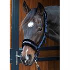 HALSTER HARRY'S HORSE LYRICS QUOTES Dark Blue