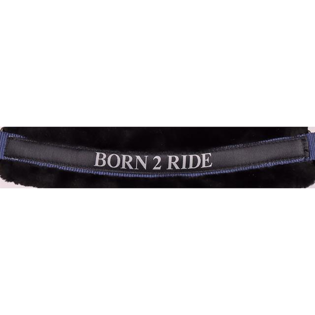 HALSTER HARRY'S HORSE LYRICS QUOTES Dark Blue