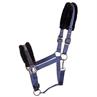 HALSTER HARRY'S HORSE LYRICS QUOTES Dark Blue