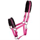 HALSTER HARRY'S HORSE LYRICS QUOTES Dark Pink