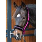 HALSTER HARRY'S HORSE LYRICS QUOTES Dark Pink