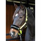 HALSTER HARRY'S HORSE LYRICS QUOTES Light Green