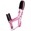 HALSTER HARRY'S HORSE LYRICS QUOTES Pink