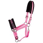 HALSTER HARRY'S HORSE LYRICS QUOTES Pink