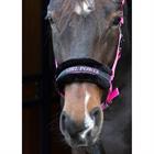 HALSTER HARRY'S HORSE LYRICS QUOTES Pink