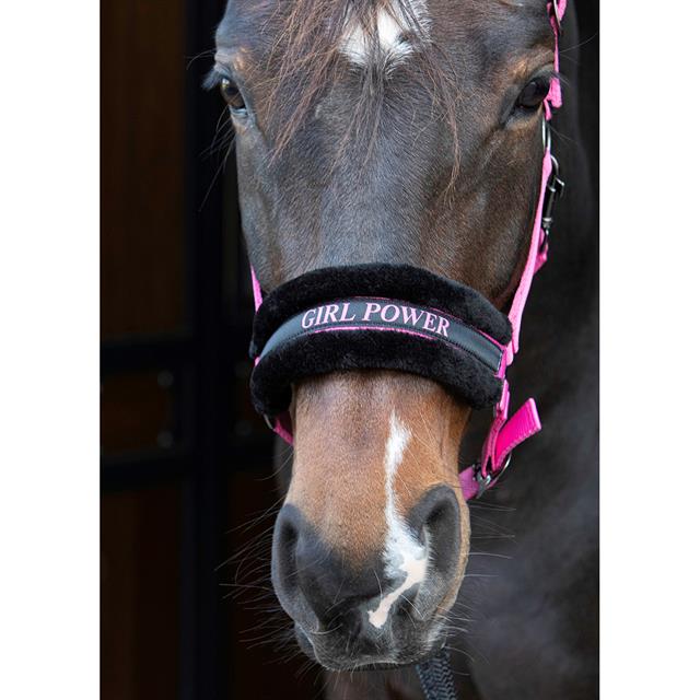 HALSTER HARRY'S HORSE LYRICS QUOTES Pink