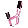 HALSTER HARRY'S HORSE LYRICS QUOTES Pink
