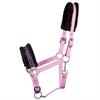 HALSTER HARRY'S HORSE LYRICS QUOTES Purple