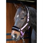 HALSTER HARRY'S HORSE LYRICS QUOTES Purple