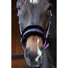 HALSTER HARRY'S HORSE LYRICS QUOTES Purple