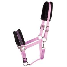 HALSTER HARRY'S HORSE LYRICS QUOTES Purple