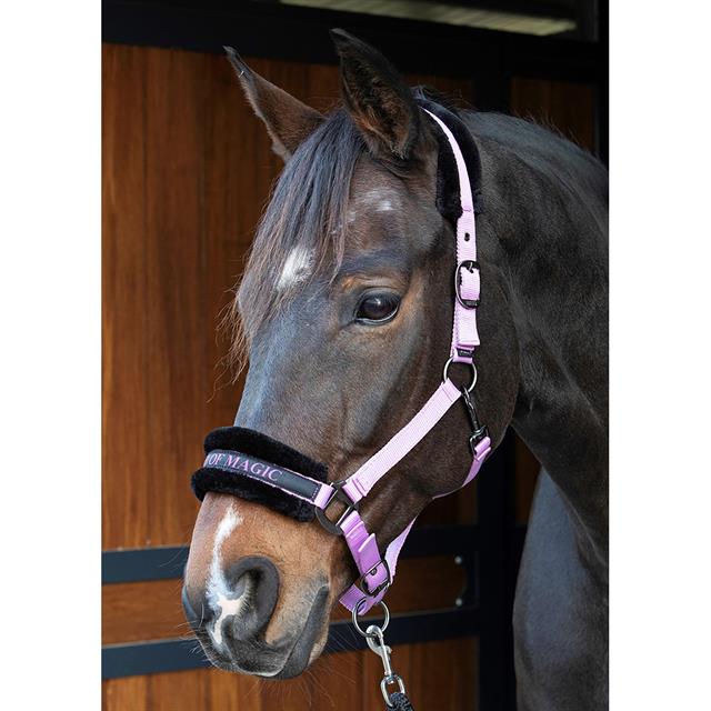 HALSTER HARRY'S HORSE LYRICS QUOTES Purple