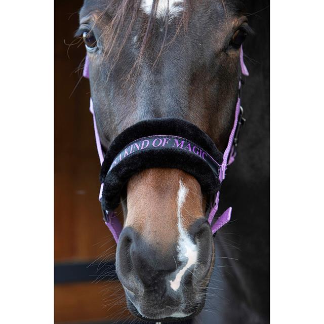 HALSTER HARRY'S HORSE LYRICS QUOTES Purple