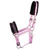 HALSTER HARRY'S HORSE LYRICS QUOTES Purple